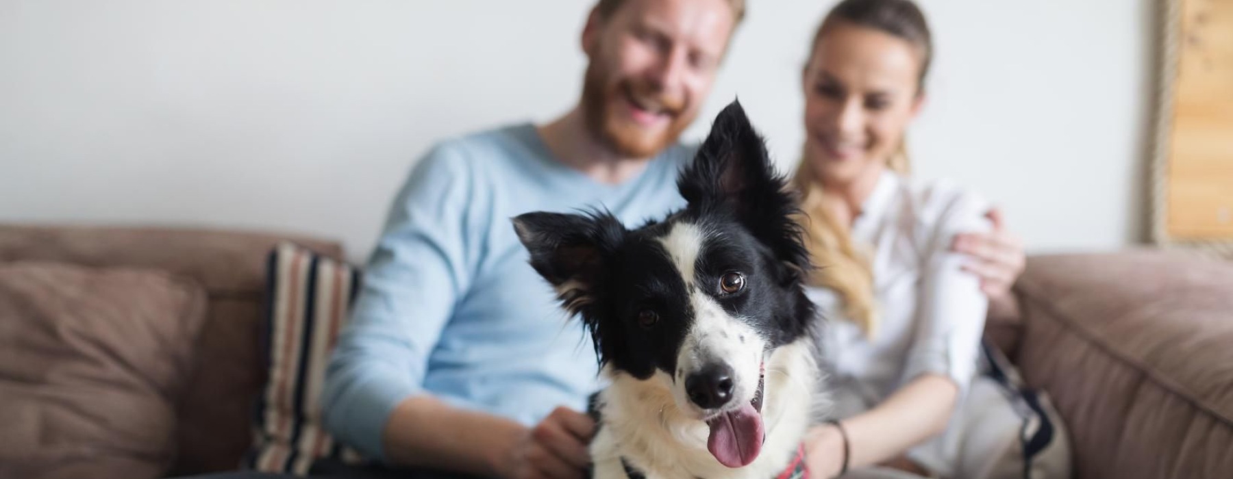 a man and a woman sitting on a couch with a dog